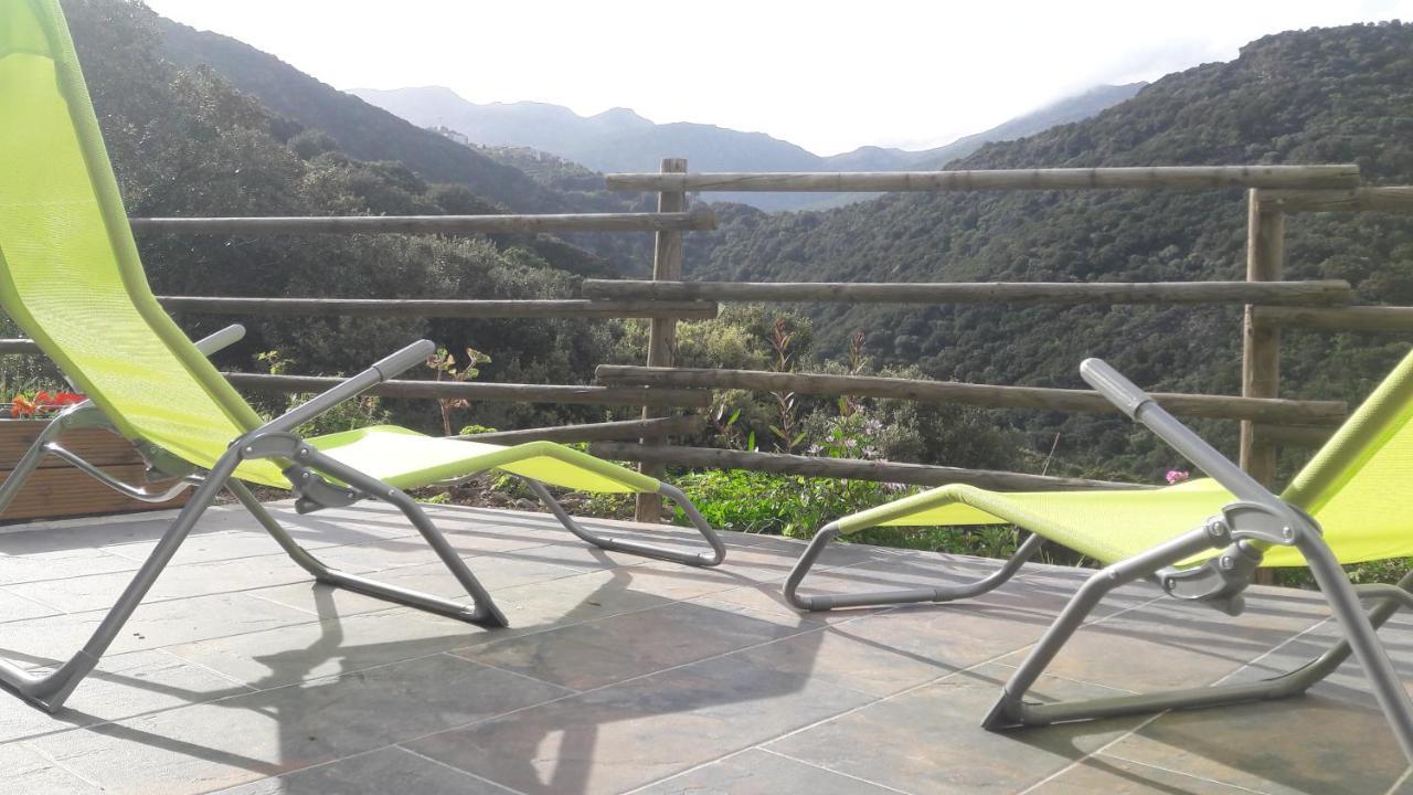 Appartement Giannoni San-Martino-di-Lota Εξωτερικό φωτογραφία