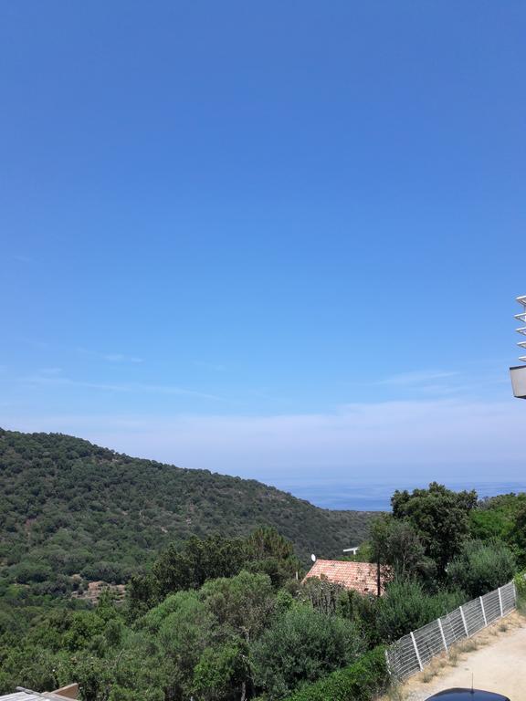 Appartement Giannoni San-Martino-di-Lota Εξωτερικό φωτογραφία
