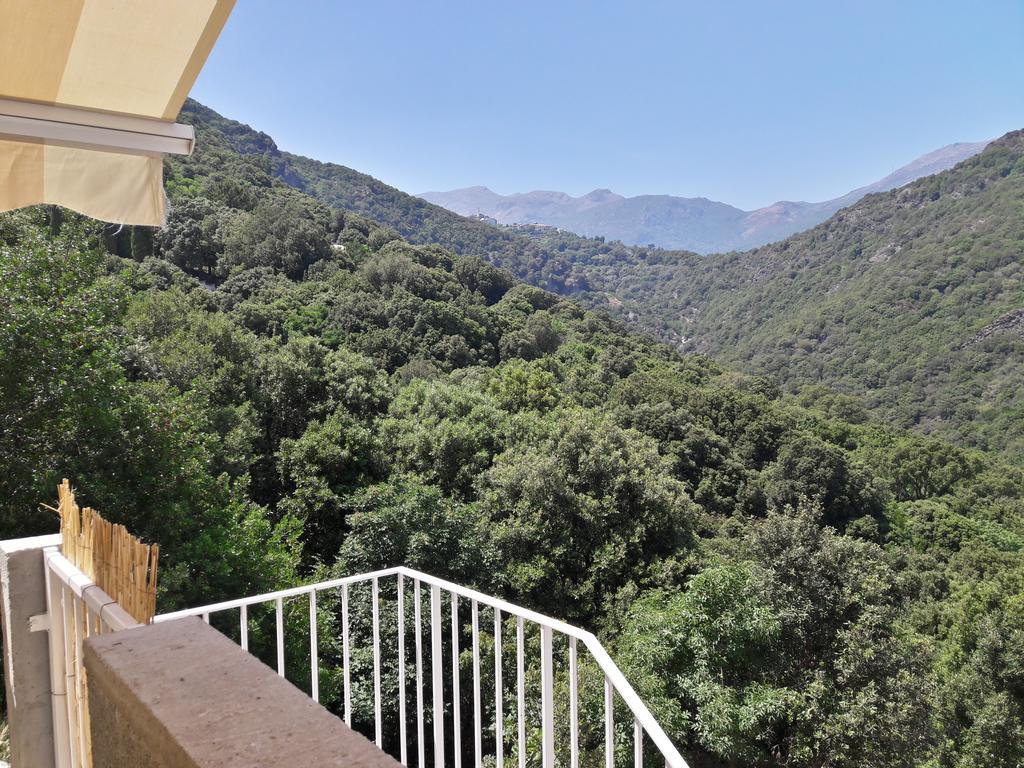 Appartement Giannoni San-Martino-di-Lota Εξωτερικό φωτογραφία